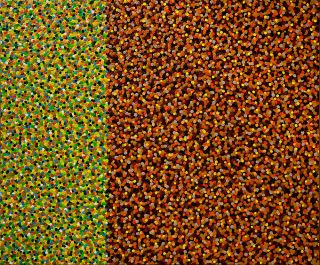 Karin van Bodegom  - specks Il -  cm120x100 mixed media